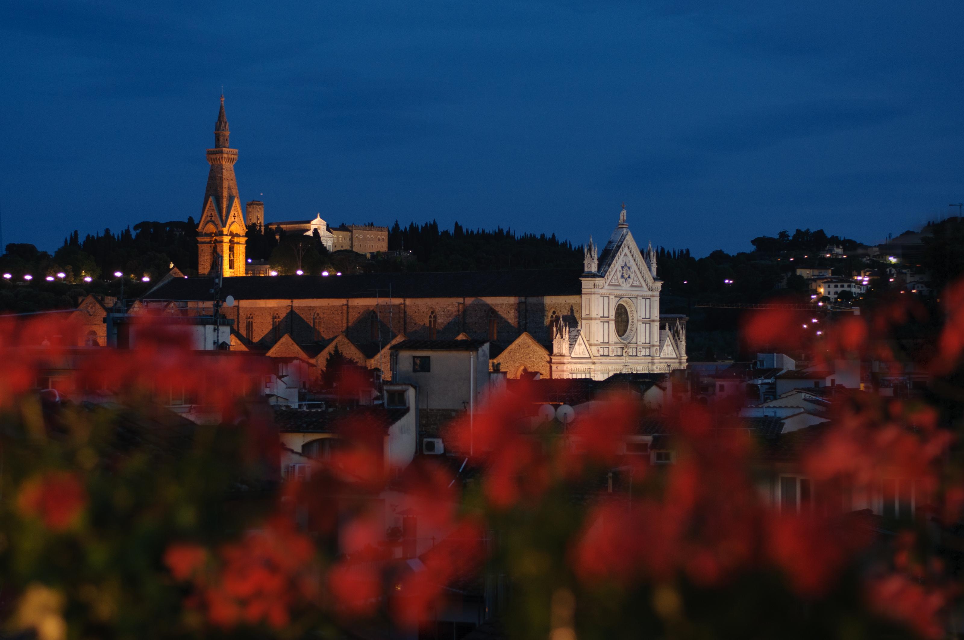 Cardinal Of - Recommended For Ages 25 To 55 Florencia